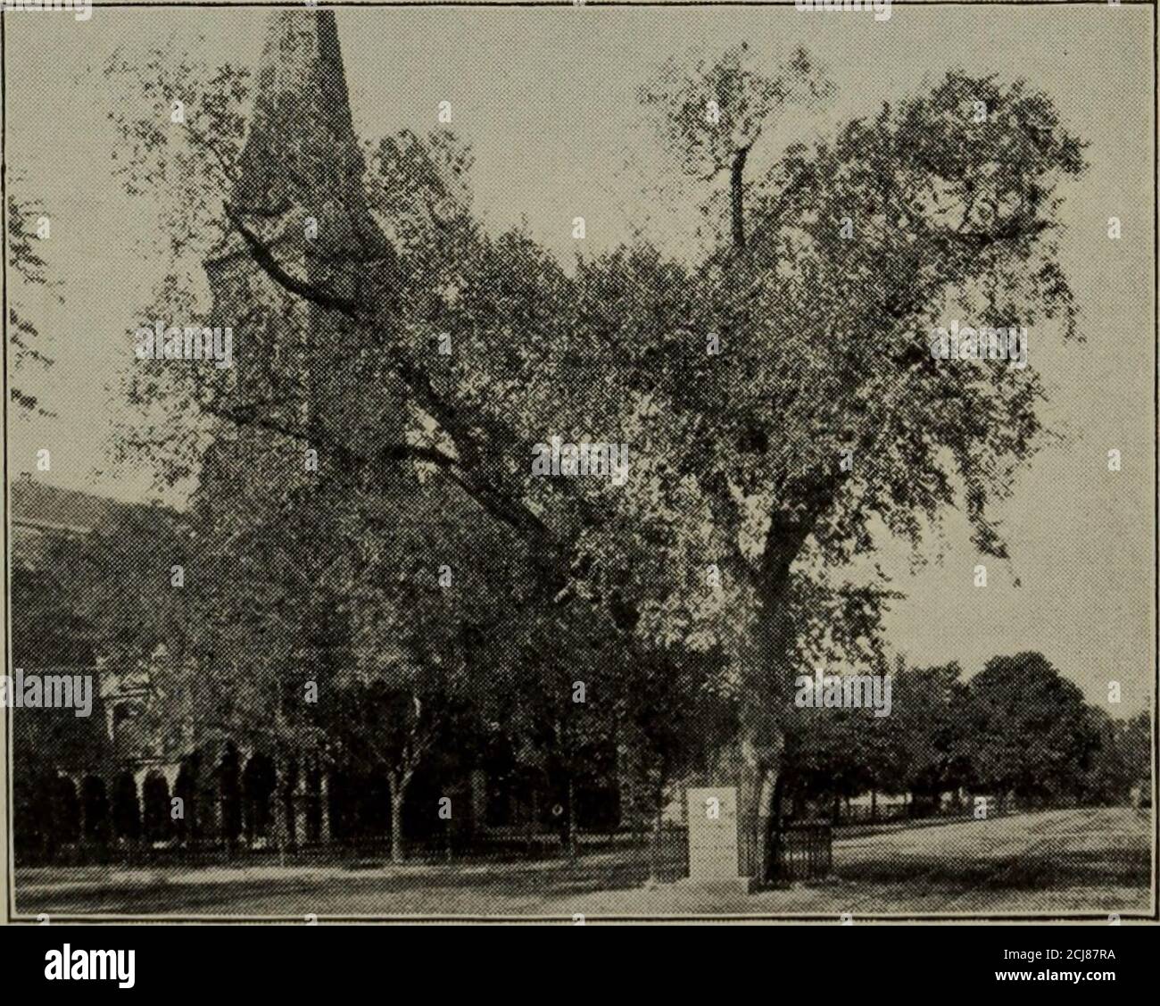 . Boston, un guide . Cambridge Wendell Holmes est né. Il a été enlevé il y a une vingtaine d'années.la statue de Charles Sumner, par Miss Anne Whitney, est dans le triangularlot de terre près.laissant les bâtiments univer-sity nous croisons le Cambridge COM-mon à l'ouest de la cour, autrefois, par voie, un lieu d'execu-tion, Et une fois thescène d'un sermon à ciel ouvert par Whitefield.Voici un bronzestatue de John Bridge, le Puritan, dans le garbof de son temps, un excellent morceau de sculpture de Thomas R. Gould et son fils, Marshall S.Gould. Dans la chaussée, juste à l'ouest de la commune, se trouve le WASHIN Banque D'Images . Boston, un guide . Cambridge Wendell Holmes est né. Il a été enlevé il y a une vingtaine d'années.la statue de Charles Sumner, par Miss Anne Whitney, est dans le triangularlot de terre près.laissant les bâtiments univer-sity nous croisons le Cambridge COM-mon à l'ouest de la cour, autrefois, par voie, un lieu d'execu-tion, Et une fois thescène d'un sermon à ciel ouvert par Whitefield.Voici un bronzestatue de John Bridge, le Puritan, dans le garbof de son temps, un excellent morceau de sculpture de Thomas R. Gould et son fils, Marshall S.Gould. Dans la chaussée, juste à l'ouest de la commune, se trouve le WASHIN Banque D'Images