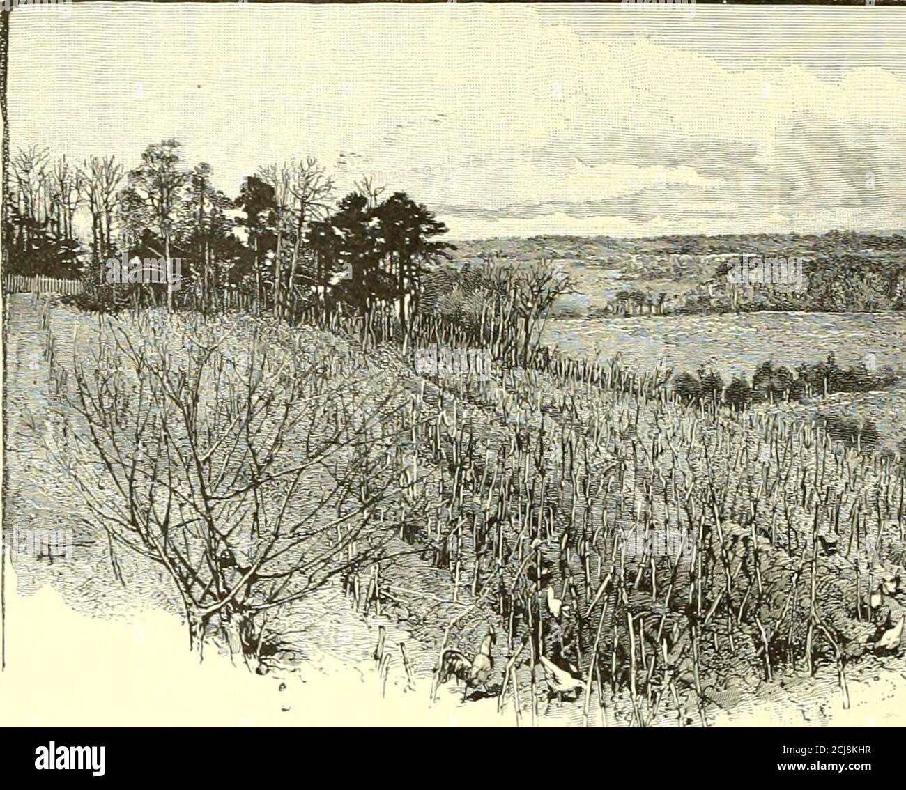 . Batailles et chefs de la guerre civile : être pour la plupart des contributions des officiers de l'Union et des Confédérés, basées sur la série de la guerre du siècle. . ,n:v 11:..m Tin: Mlaimim West ..f tiii: La maison du Nid-de-Corbeau est à l'extrême droite de l'image, la protection de l'Union Sharp-shooters sous Berdan. La colline à gauche est le terrain haut illustré à la p. 419. Plus à gauche, en haut de cette vallée, et à l'arrière de la Tlic r:i ine entre les deux est le ravin montré dans la colline, a été la droite de la ligne confédérée, qui tard à droite de l'image à la p. 418. Au moment de la bataille, le ev Banque D'Images