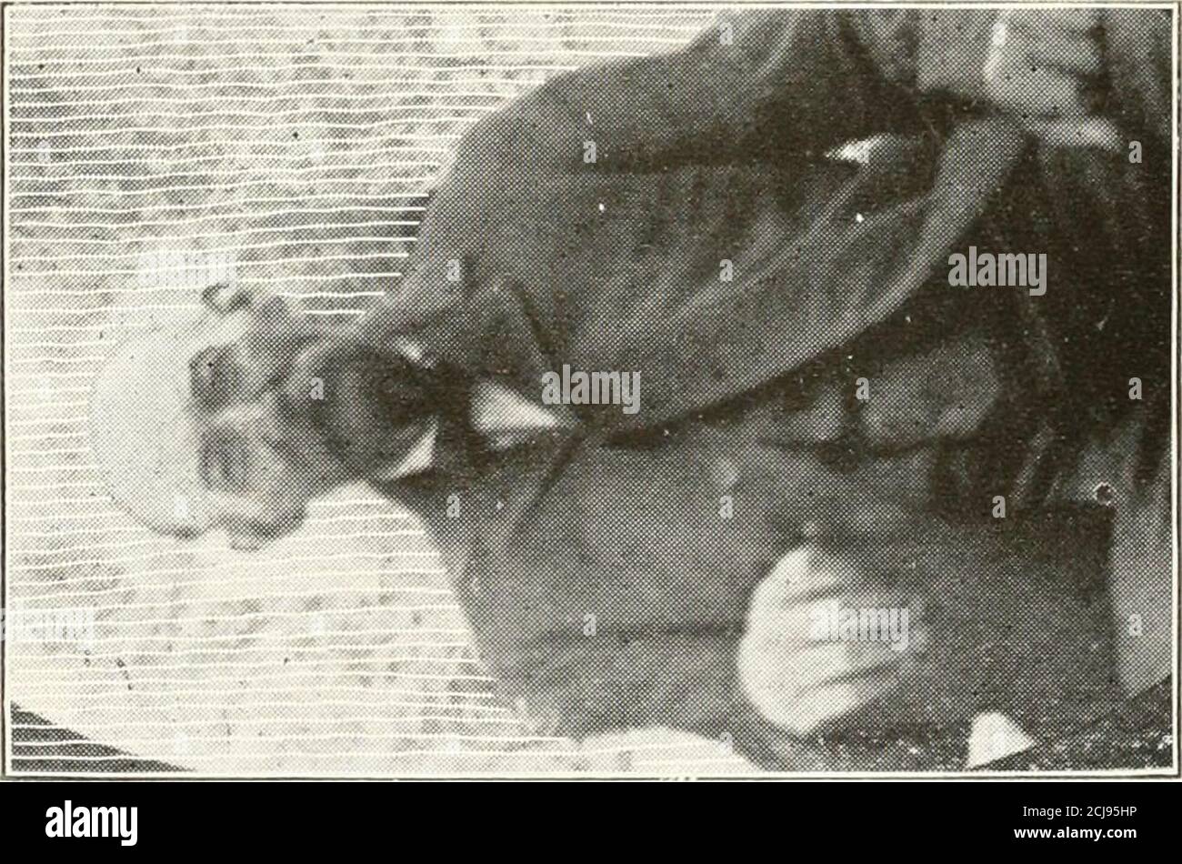 . Histoire de la quatre-vingt-cinquième infanterie volontaire de l'Indiana, son organisation, ses campagnes et ses batailles . X o o Pi :- H u & lt;f, c P-. - :- &LT; INDIANA VOI.UNTKKR INFANTERIE. 6$ l'ancienneté était de courte durée comme officiers dans les deux armées avant-badeit. Démission du colonel Baird et du capitaine Davis. Le 16 juin, le colonel Baird et le Capt Davis ont démissionné et se sont séparés de manière ingarrée avec eux. Le colonel John P. Baird a eu ses péchés assiégés, mais mis à part ces derniers il a été beaucoup admiré par le régiment. Exceedinglyshrewd et tact, brave et généreuse à une faute. Wewere était fier de lui. Lie était l'un des plus beaux officersdans notre armée, la veille Banque D'Images