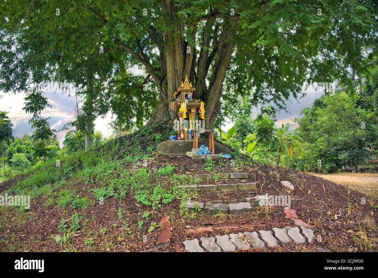 Une maison d'esprit sur terre monticule avec un immense arbre se tient derrière. Maison miniature thaïlandaise traditionnelle construite pour un esprit de gardien de résider. Banque D'Images