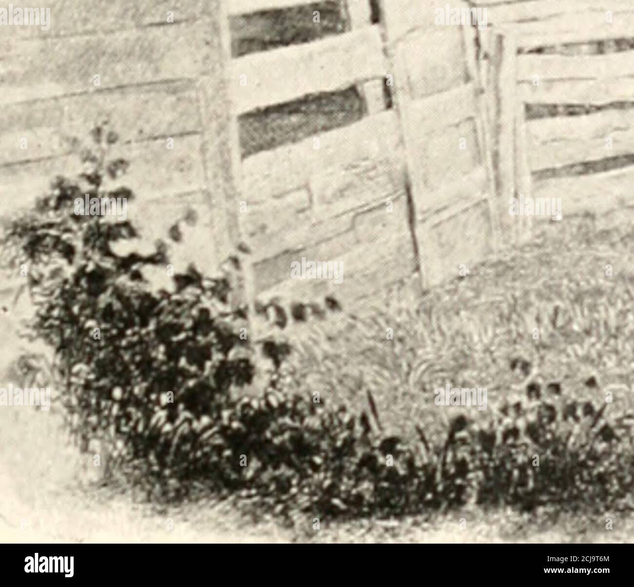 . Abraham Lincoln et les hommes des temps de guerre. Quelques souvenirs personnels de la guerre et de la politique pendant l'administration Lincoln . LINCOLNS HOMK DANS L'ENFANCE.. LINCOLN^S MAISON À SPRINGFIELD. LINCOLN EN POLITIQUE. yj nous nous y étions réunis, il a ouvert le sujet de manière étrange en disant: Vous savez que je n'ai jamais été un cocon-triver; Je ne sais pas beaucoup comment les choses sont donein poHtics, mais je pense que vous, messieurs, comprenez la thésituation dans votre État, et je veux apprendre ce qui peut-être fait pour assurer le succès que nous tous désirons. Il me demande exhaustive de chacune des personnes présentes comme les signaux de danger du conte Banque D'Images