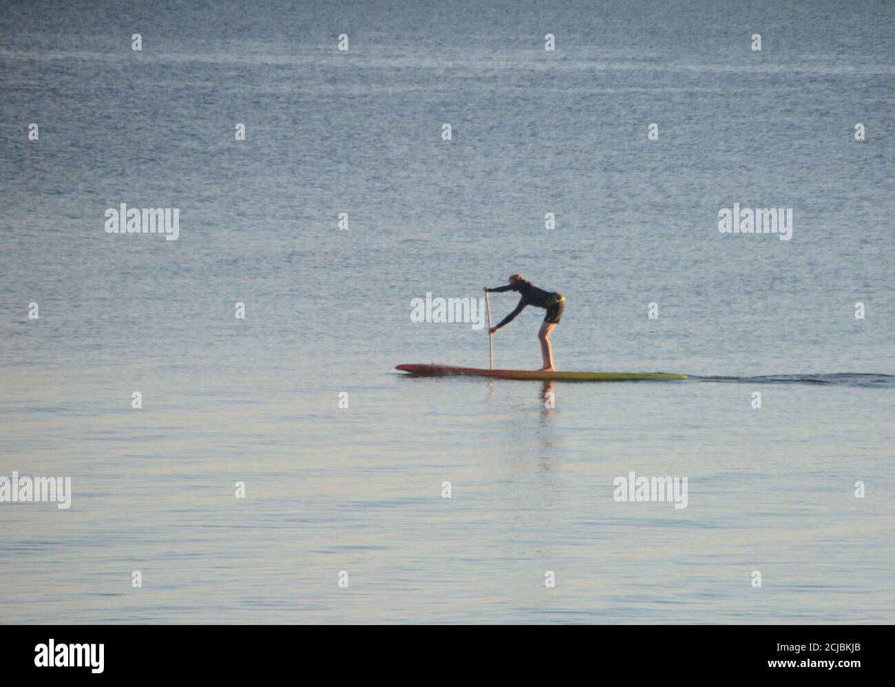 Mer calme avec une personne ramer une planche de surf. Banque D'Images