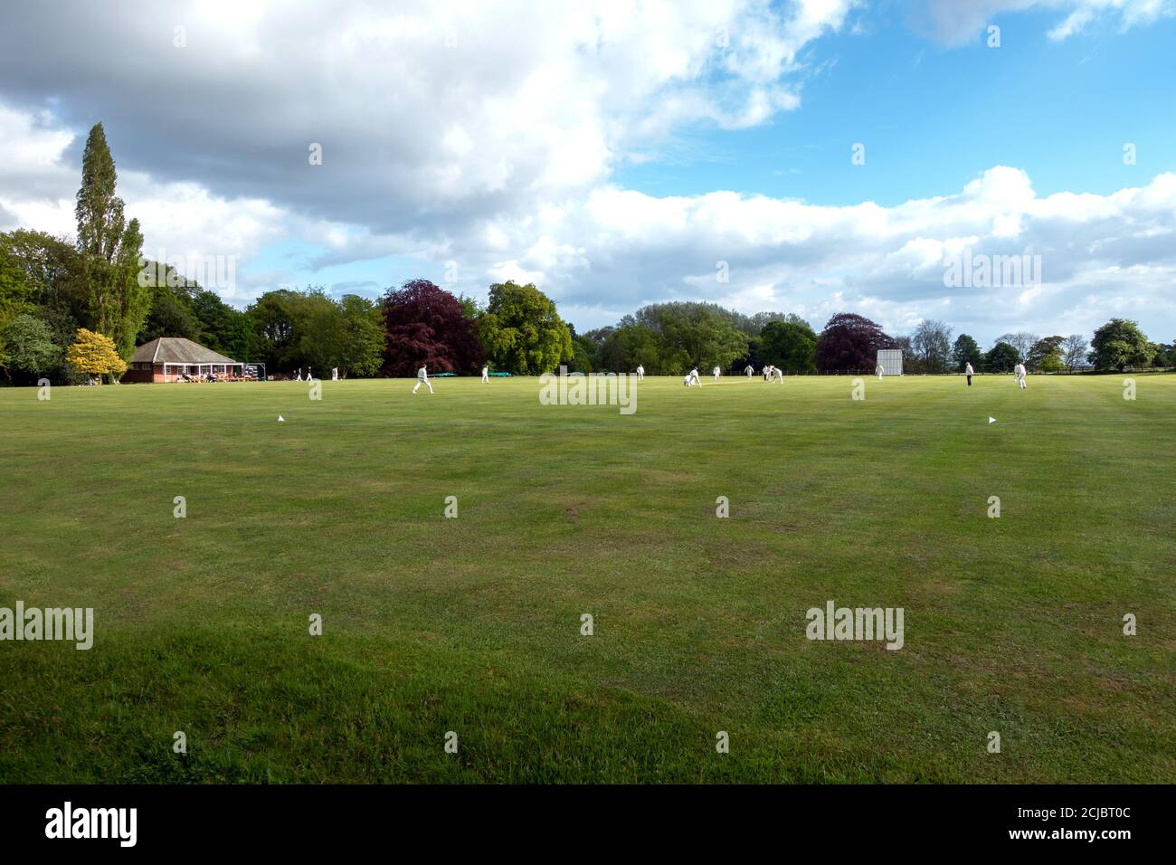 Club de cricket de Wiseton jouant au terrain de cricket du village à Wiseton Hall Banque D'Images