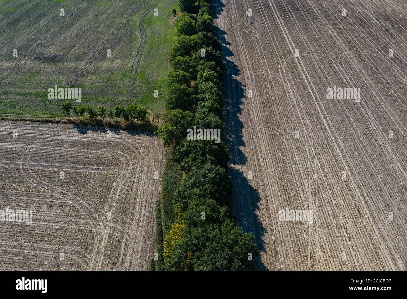 Ribbeck, Allemagne. 16 septembre 2020. Seules les pistes de véhicules peuvent être vues sur les champs non loin de Nauen (Brandebourg) (tiré avec un drone). Credit: Paul Zinken/dpa-Zentralbild/ZB/dpa/Alay Live News Banque D'Images