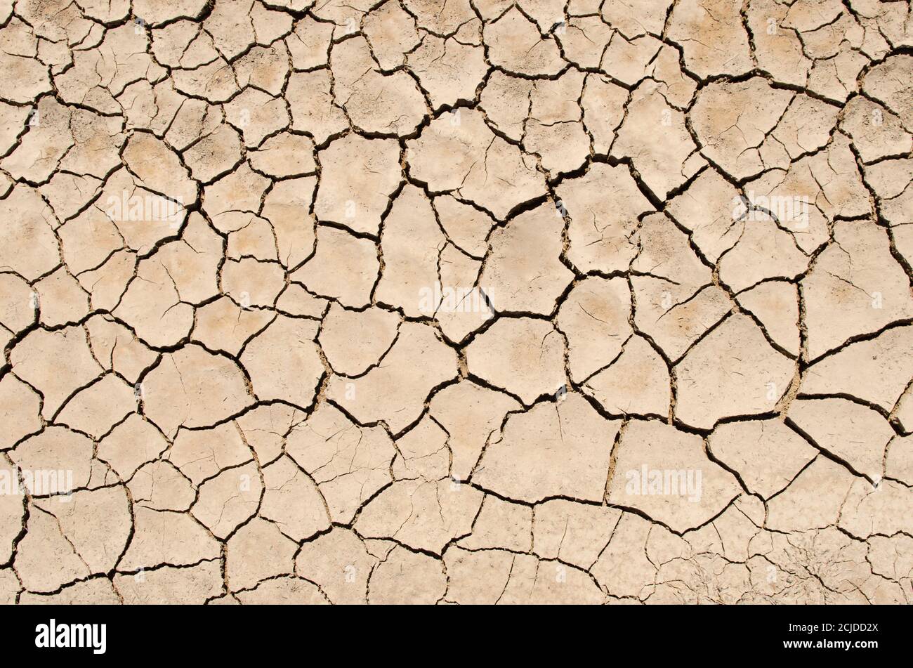 Lac sec avec texture naturelle de terrain fissuré. Texture naturelle Banque D'Images
