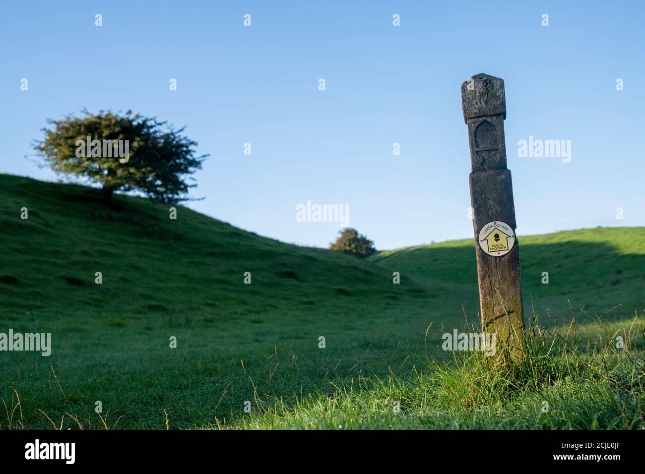 Panneau Cotswold Way dans la lumière du soleil tôt le matin le long de la cotswold Way. Broadway, Cotswolds, Worcestershire, Angleterre Banque D'Images
