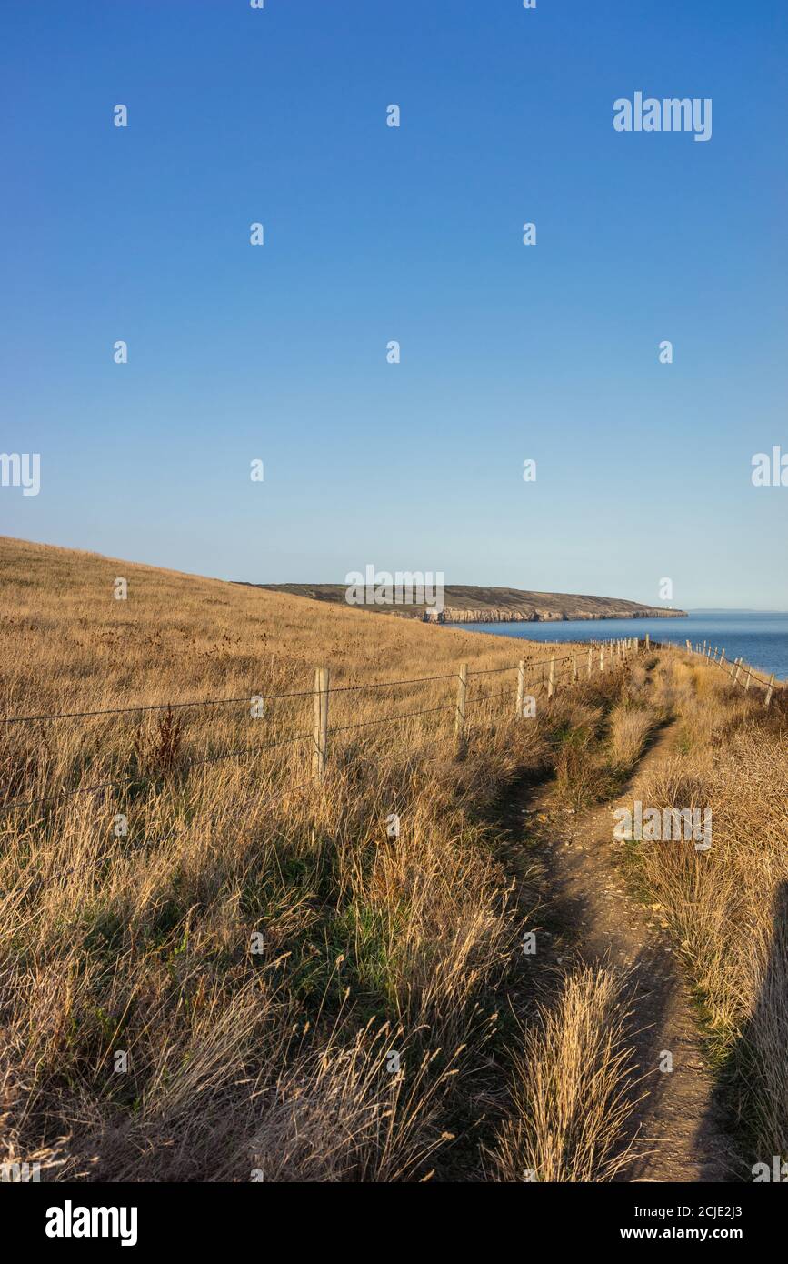 Le South West Coast Path, près de St Aldheel's Head, se dirige vers l'est sur l'île de Purbeck, Dorset, Angleterre, Royaume-Uni Banque D'Images