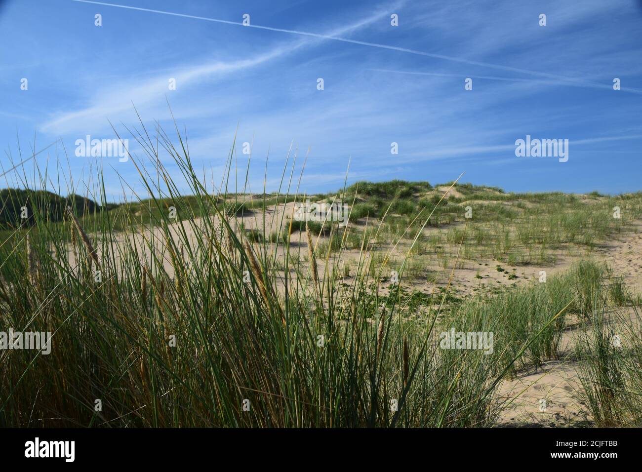 Derrière la dune de sable à Formby Merseyside Banque D'Images