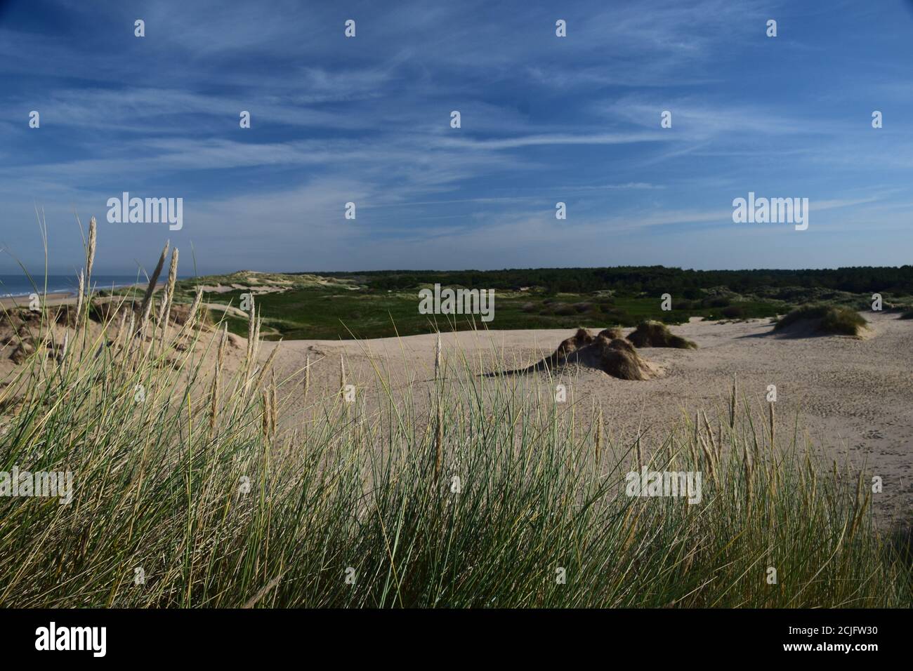 Derrière la dune de sable à Formby Merseyside Banque D'Images