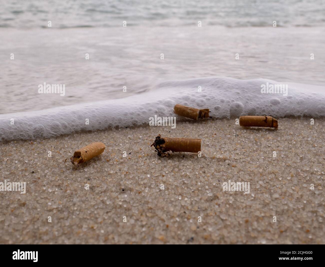 Gros plan de cigarettes éteintes près de la mer sur la plage Banque D'Images