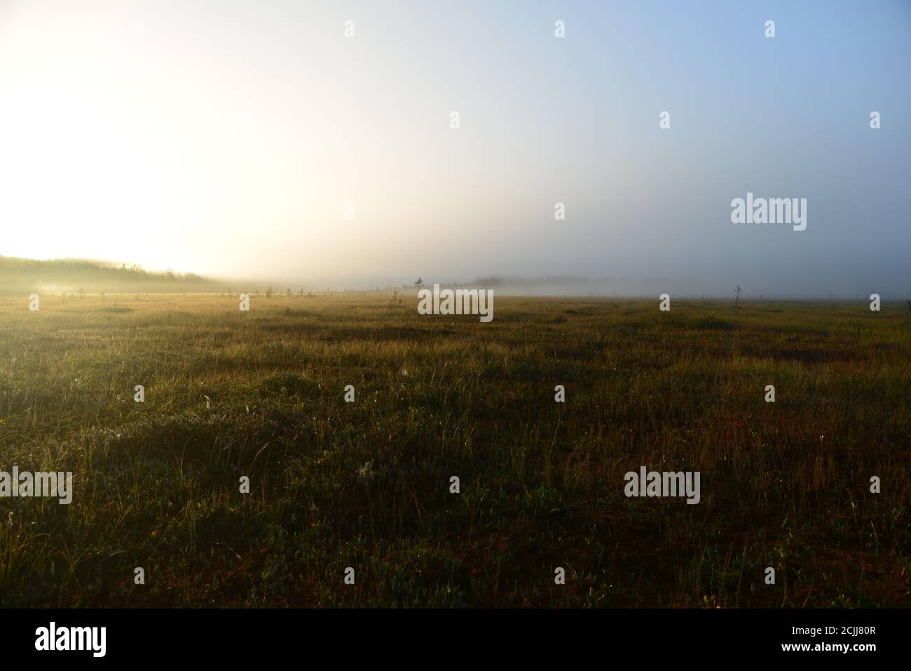 Étincelant le marais au lever du soleil dans la rosée du matin Banque D'Images
