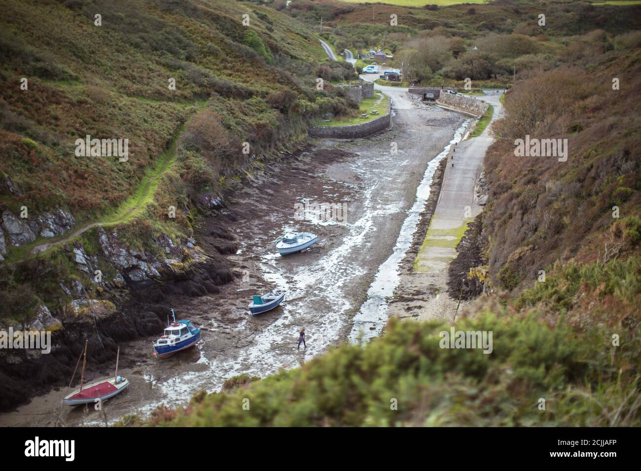 Vue sur le paysage depuis la partie supérieure des bateaux de l'estuaire du Porthclais À St Davids Banque D'Images