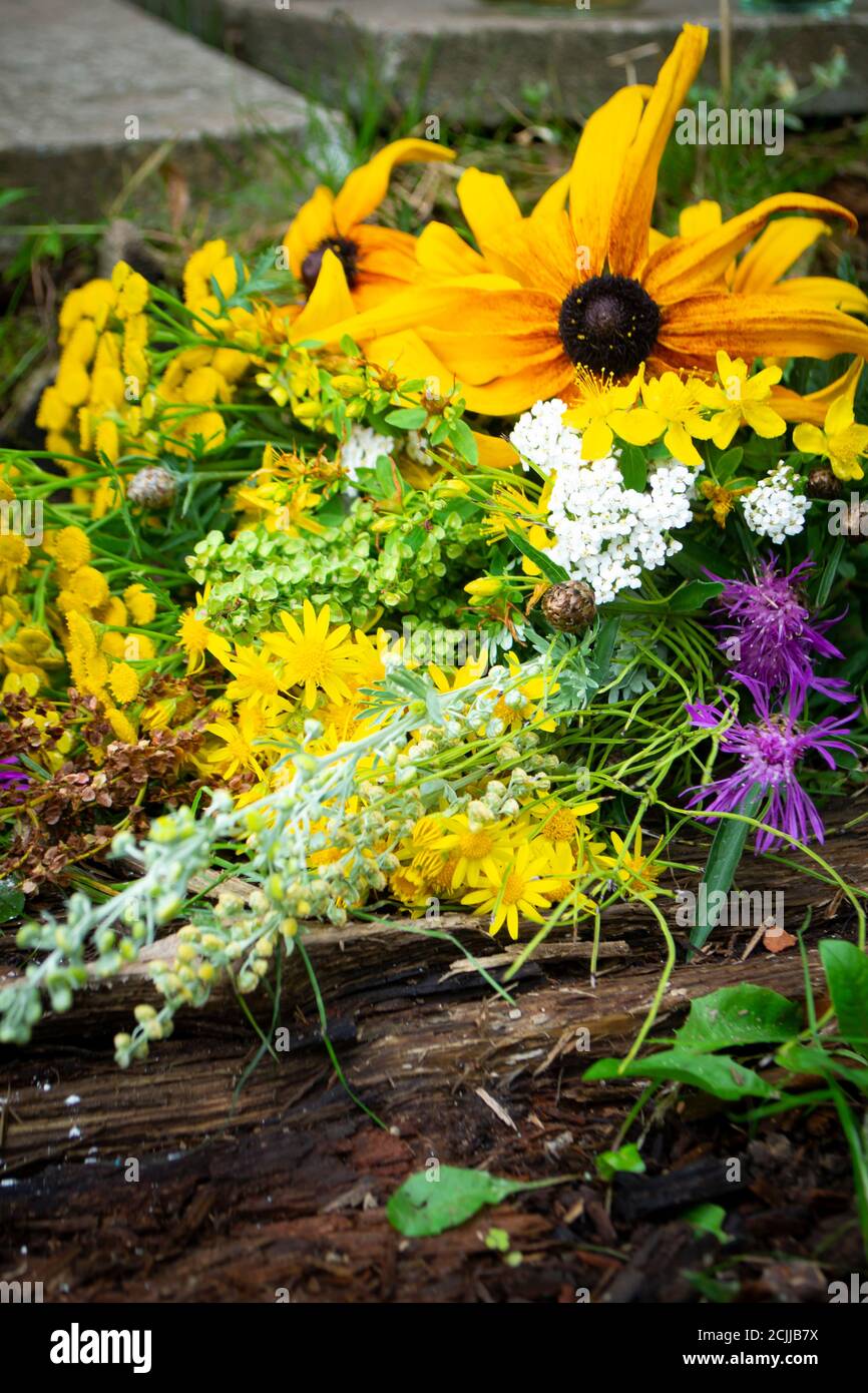Mélanger le bouquet coloré d'herbes aromatiques de bois de millepertuis, échinacée, tansy, yarrow, millepertuis, highlander, jour ensoleillé, image verticale Banque D'Images