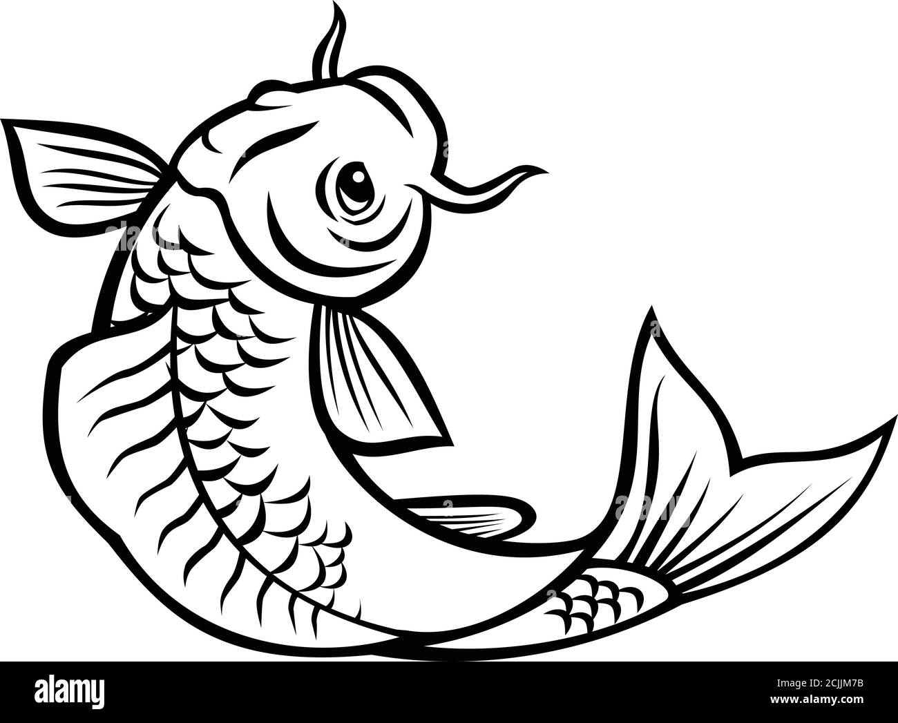 Illustration de style caricaturé d'un poisson jinli, Koi ou nishikigoi, des variétés colorées de la carpe d'Amur Cyprinus rubrofuscus, sautant sur le backgro isolé Illustration de Vecteur