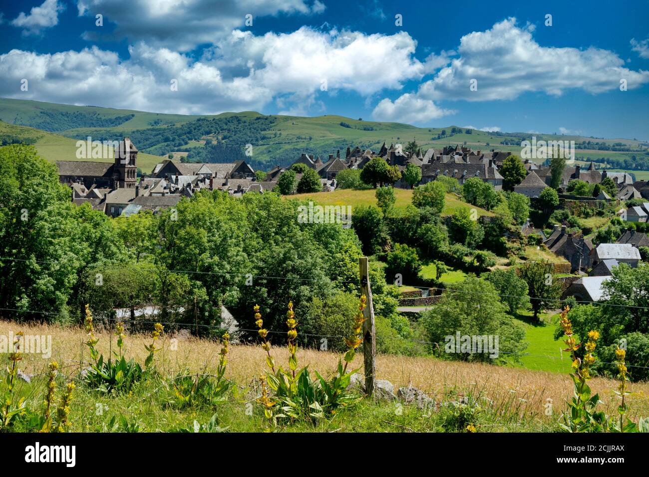 Salers labellisés les plus beaux villages de France, vue sur la cité médiévale, département du Cantal, Auvergne Rhône Alpes, France Banque D'Images