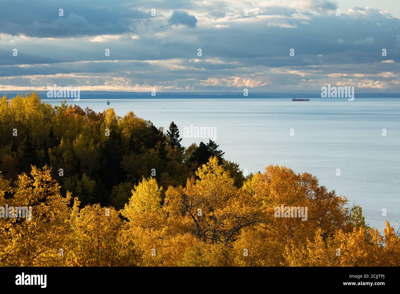 Couleurs d'automne sur les rives de l'estuaire du Saint-Laurent près de Tadoussac, Québec, Canada Banque D'Images