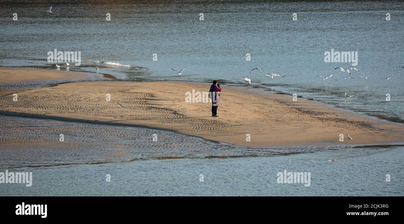 Wendy Whale-ating, Tadoussac, Québec, Canada Banque D'Images