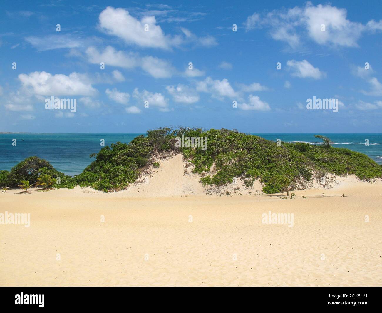 Dunes de Genipabu, destination touristique à Natal, nord-est du Brésil. Banque D'Images