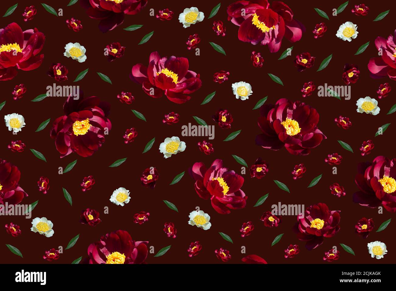 Motif fleuri sans couture sur fond rouge foncé Banque D'Images