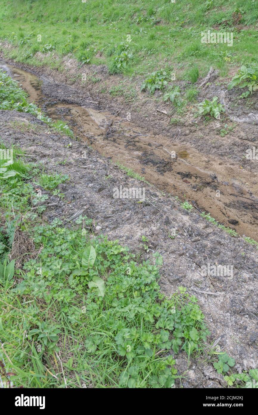 Les drains de champs agricoles à écoulement libre ont récemment été nettoyés et débarrassés des mauvaises herbes aquatiques. Pour la gestion des terres, la gestion des eaux usées, la lutte contre les inondations. Banque D'Images