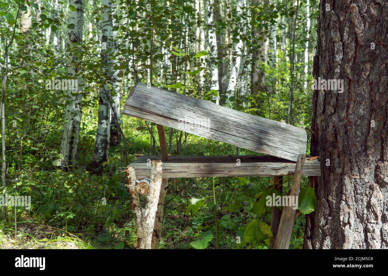 piège en bois fait maison pour les animaux et les oiseaux installés dans la  forêt. l'inventaire du chasseur Photo Stock - Alamy