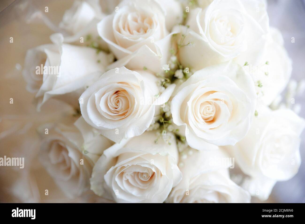 Gros plan des roses blanches et du bouquet de mariée de bébé souffle, arrangement floral romantique et accessoire de mariée ou de demoiselle d'honneur pour le jour de mariage Banque D'Images