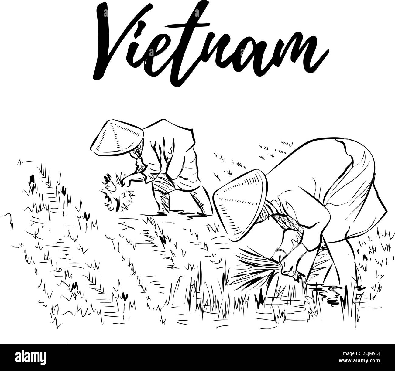 Illustration des agriculteurs plantant du riz dans les champs, des terrasses de champs de riz dans le paysage montagneux, du riz Vector ou de la plantation de thé sur un fiel en cascade Illustration de Vecteur