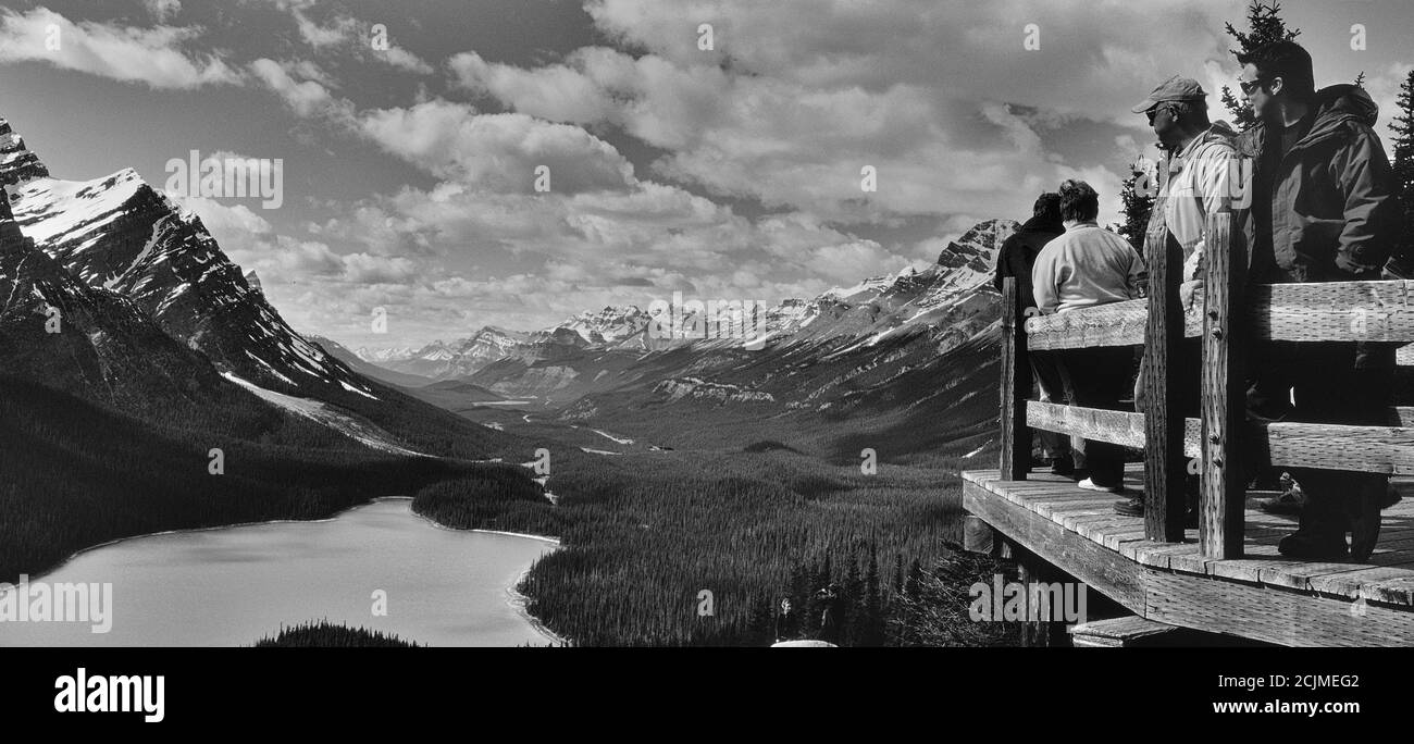 Le point de vue du lac Peyto, plate-forme d'observation, promenade Icefields, parc national Banff, Rocheuses canadiennes, Canada. Amérique du Nord Banque D'Images