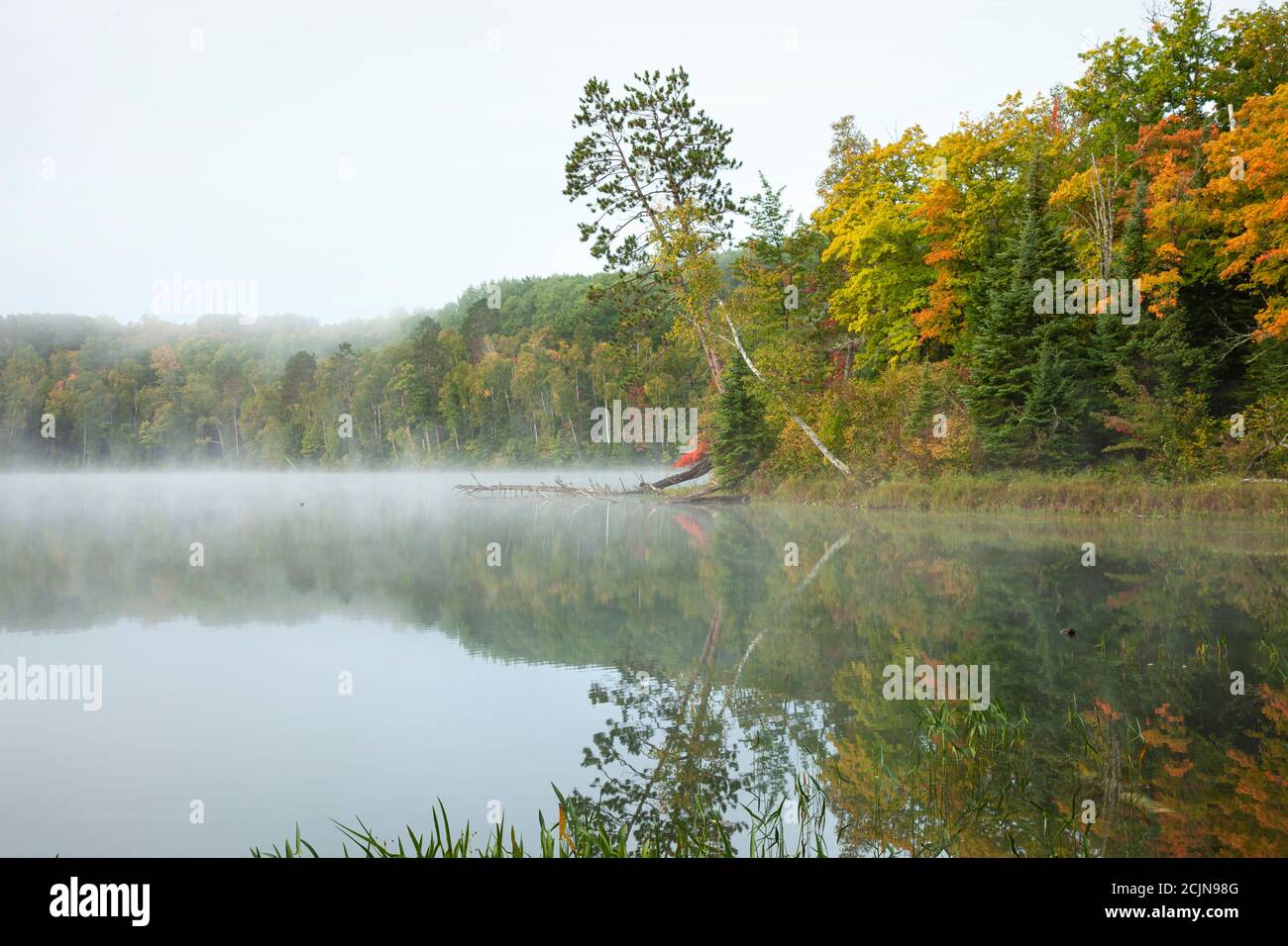 Lac calme et arbres colorés dans le nord du Minnesota sur un matin d'automne brumeux Banque D'Images
