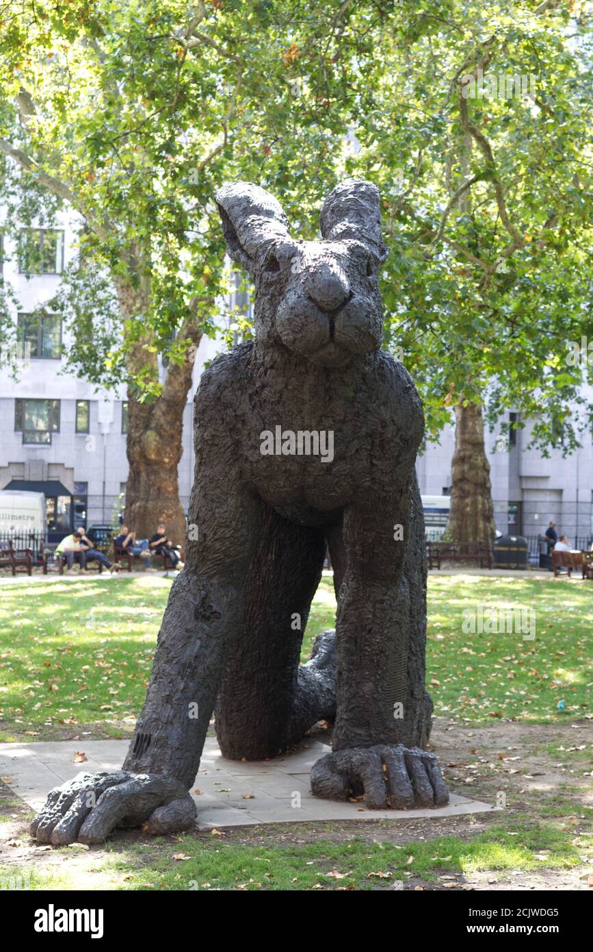 Lièvre géant, rampant sur les pelouses herbeuses de Berkeley Square Banque D'Images