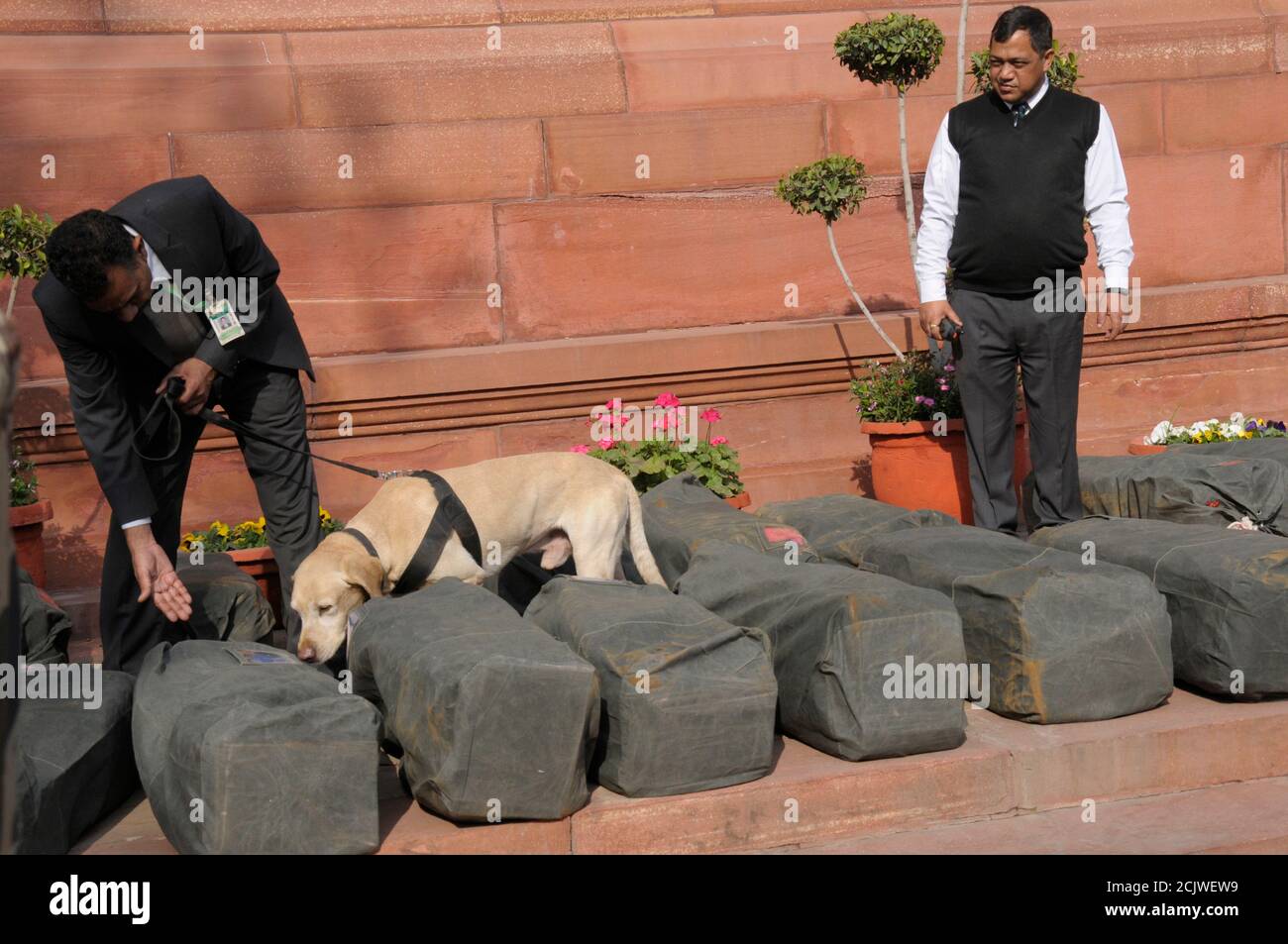 Sacs de contrôle de chien sniffer de sécurité des documents budgétaires annuels À présenter devant le Parlement indien outre l'entrée Porte du Parlement Banque D'Images