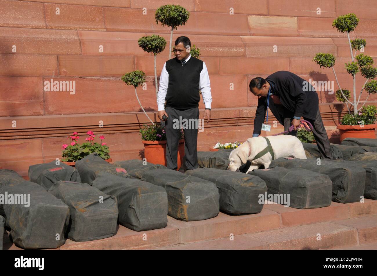 Sacs de contrôle de chien sniffer de sécurité des documents budgétaires annuels À présenter devant le Parlement indien outre l'entrée Porte du Parlement Banque D'Images
