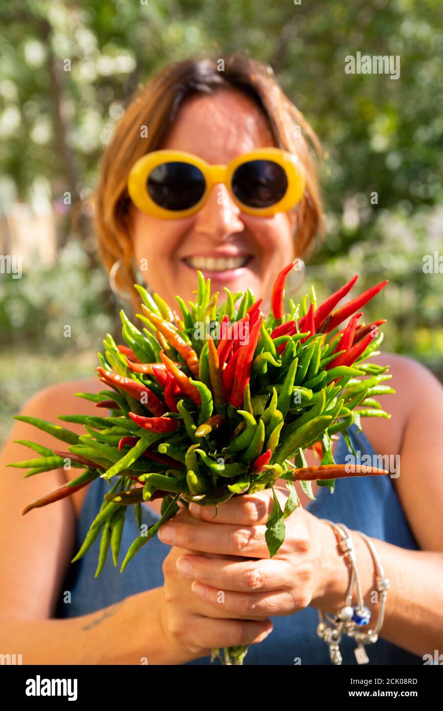 Concentrez-vous sur un bouquet de piments verts et rouges fraîchement récoltés que tient une femme brune caucasienne avec des lunettes de soleil jaunes à la mode. Verticale Banque D'Images