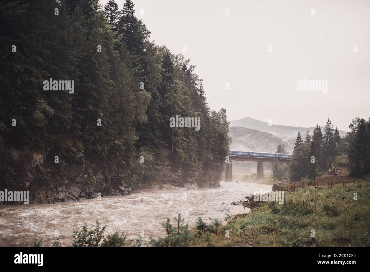 Vue sur le flanc de montagne et le paysage arborescent d'Evergreen. Brouillard forestier Banque D'Images