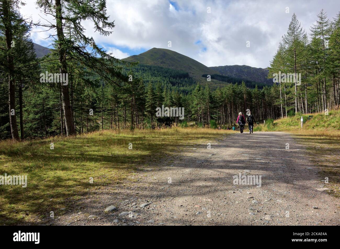 Le chemin de la Corrie Fee, Glen Clova, près de Kirriemuir, Angus, Écosse Banque D'Images