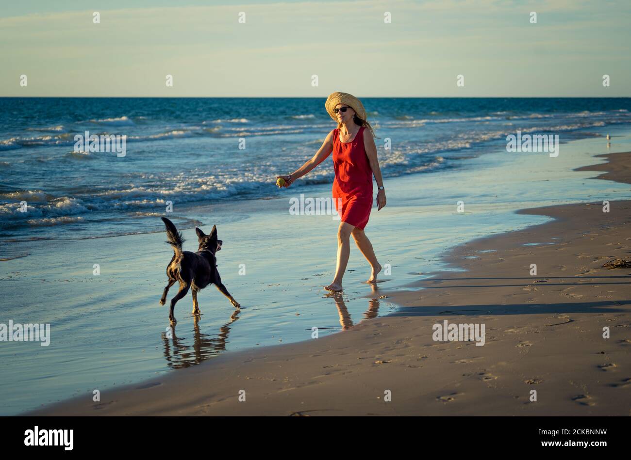 Belle femme mûre et chien d'animal de compagnie hors laisse marchant le long de la mer sur la plage vide éloignée. Compagnie avantages des animaux gardant actif Retir Banque D'Images