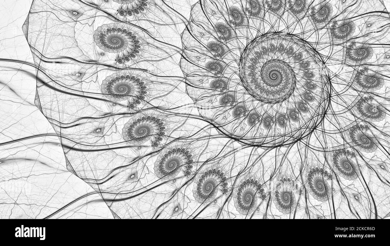 Structure fractale en spirale, carte d'intensité abstraite noire et blanche inversée générée par ordinateur Banque D'Images