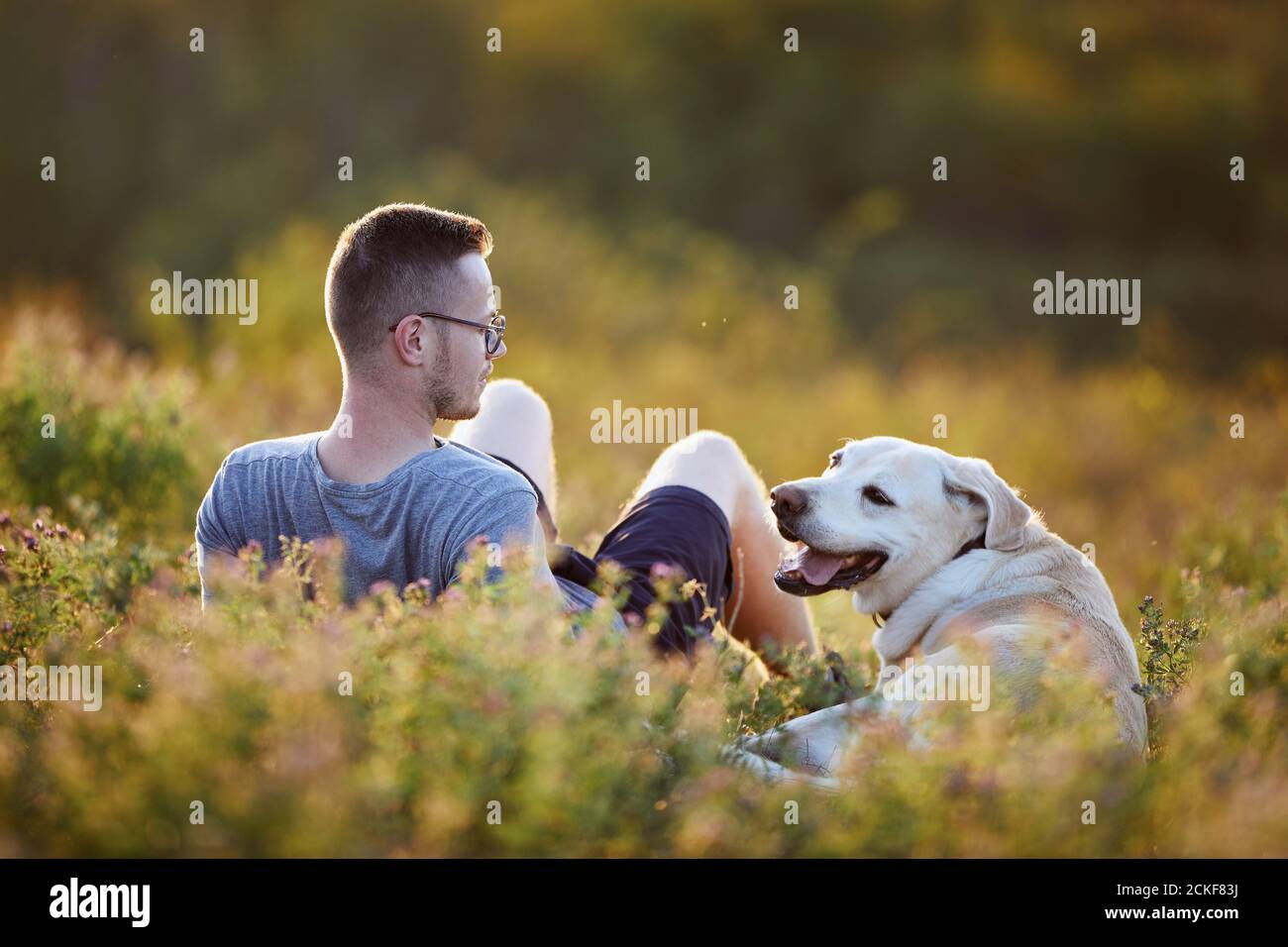 Homme avec chien sur la prairie au coucher du soleil. Propriétaire d'animal de compagnie allongé avec son Labrador retriever mignon dans l'herbe. Banque D'Images