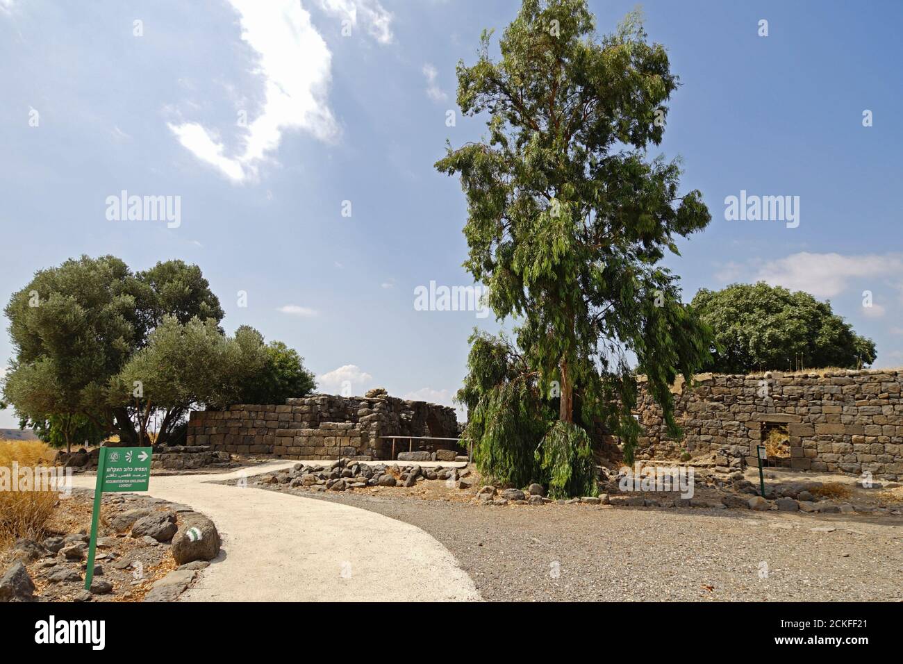 Période du deuxième Temple de Gamla, ancienne ville juive et réserve naturelle sur les hauteurs du Golan, Israël Banque D'Images