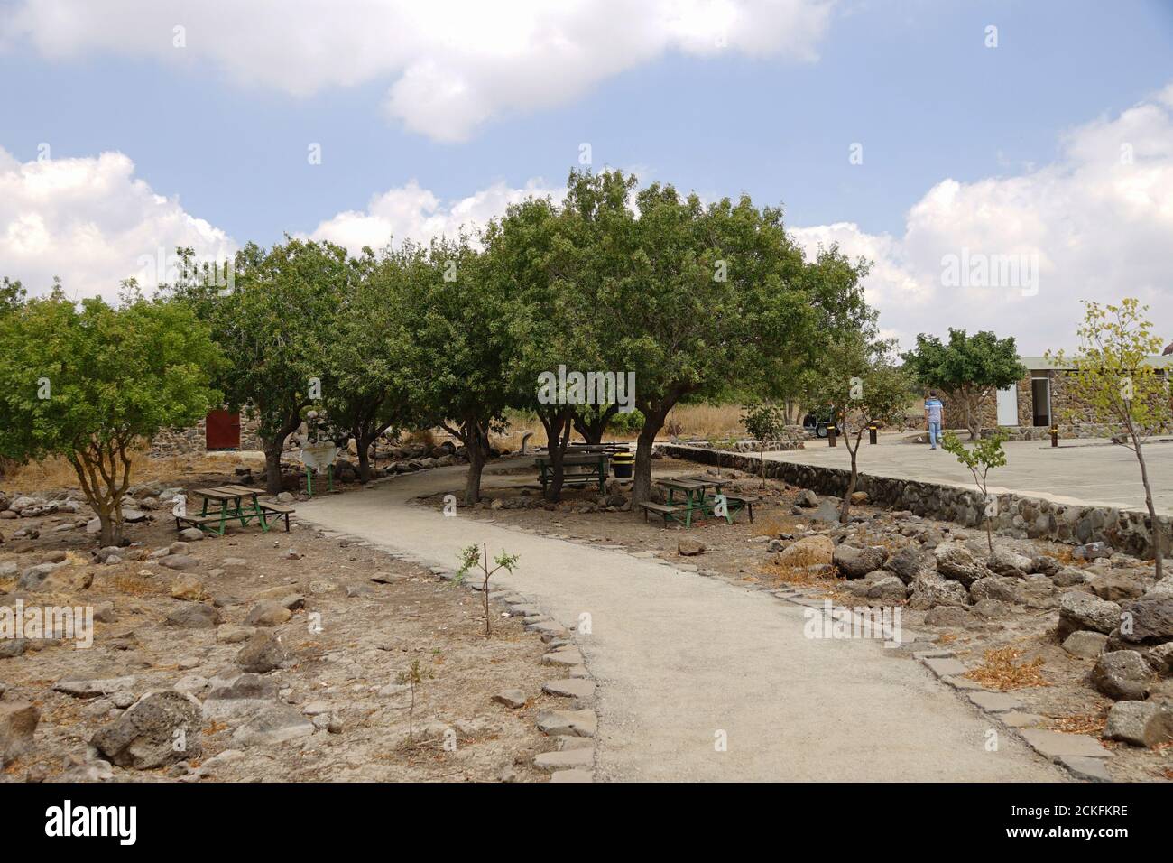 Gamla deuxième période du Temple, ancienne ville juive sur les hauteurs du Golan, Israël Banque D'Images