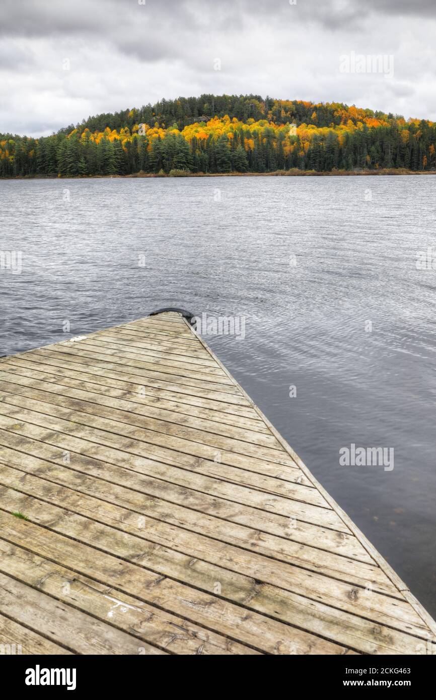 Une verticale de quai avec belle couleur d'automne au parc provincial Algonquin, Canada Banque D'Images