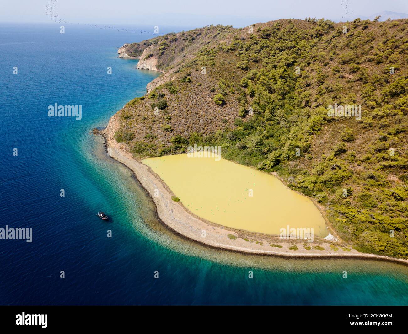 Vue aérienne du lagon d'eau douce recouvert d'algues à Gokova Bay Environnement spécial zone protégée Marmaris Turquie Banque D'Images