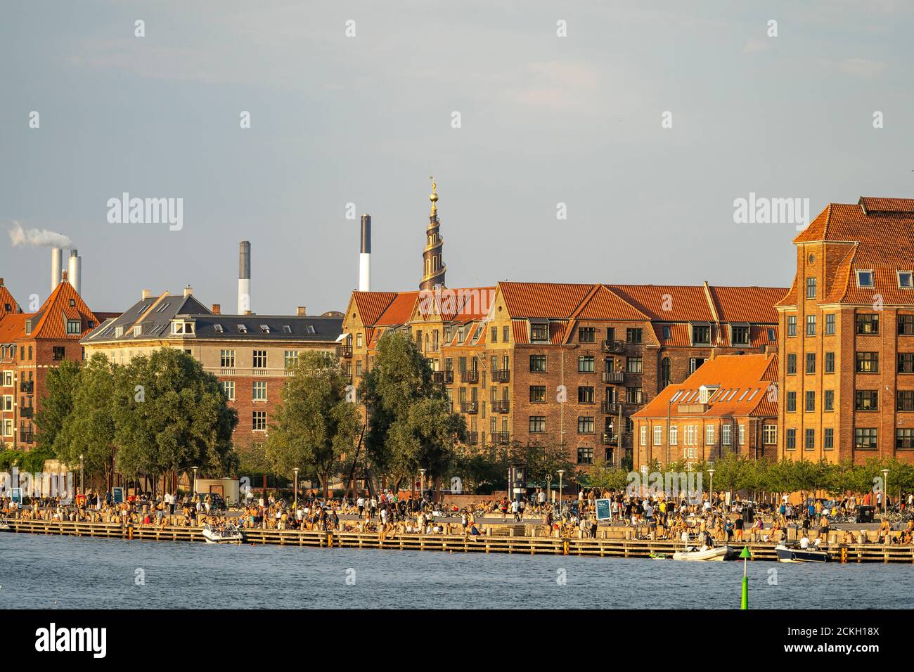 Havneparken, öffentlicher Park direkt am Wasser, Islands Brygge, Kopenhagen, Dänemark, Europa | parc public Havneparken - The Harbour Park directement o Banque D'Images