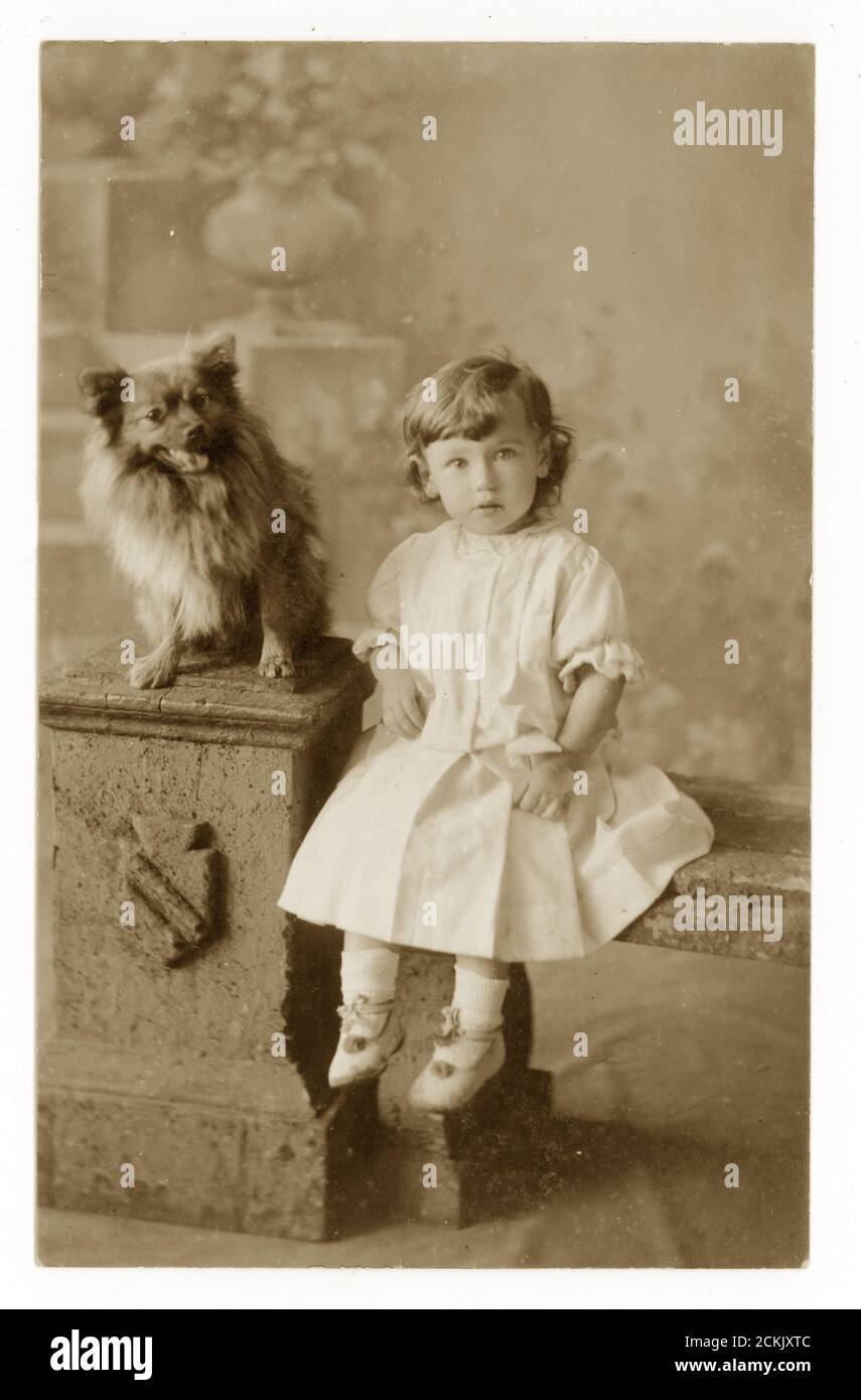 Au début des années 1900, la carte postale du portrait d'un jeune enfant (fille ou garçon qui s'habit de la même façon dans ces temps) avec chien d'animal de compagnie, vers 1910, R. Wilson, Carlton Studio, Consett, Comté de Durham, Angleterre, Royaume-Uni Banque D'Images