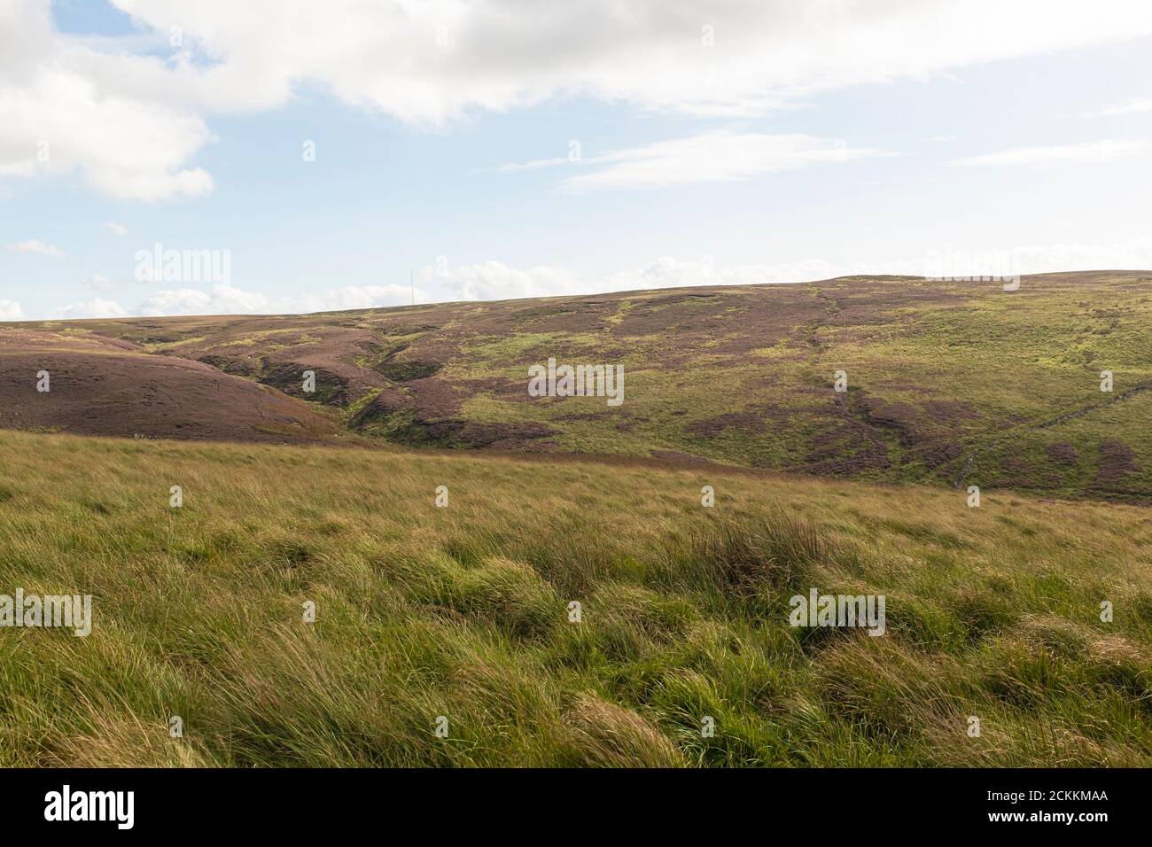 Les collines autour de White Coppice, Heapy Moor et Wheelton Moor, Lancashire, Royaume-Uni Banque D'Images