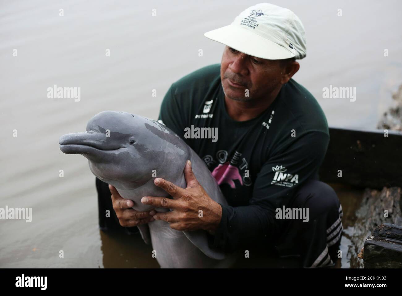 Un Assistant Du Projet Sur Les Mammiferes Aquatiques Amazoniens Tient Un Bebe Du Dauphin De La Riviere Amazone Egalement Connu Sous Le Nom De Dauphin Rose Dans La Reserve De Mamiraua A