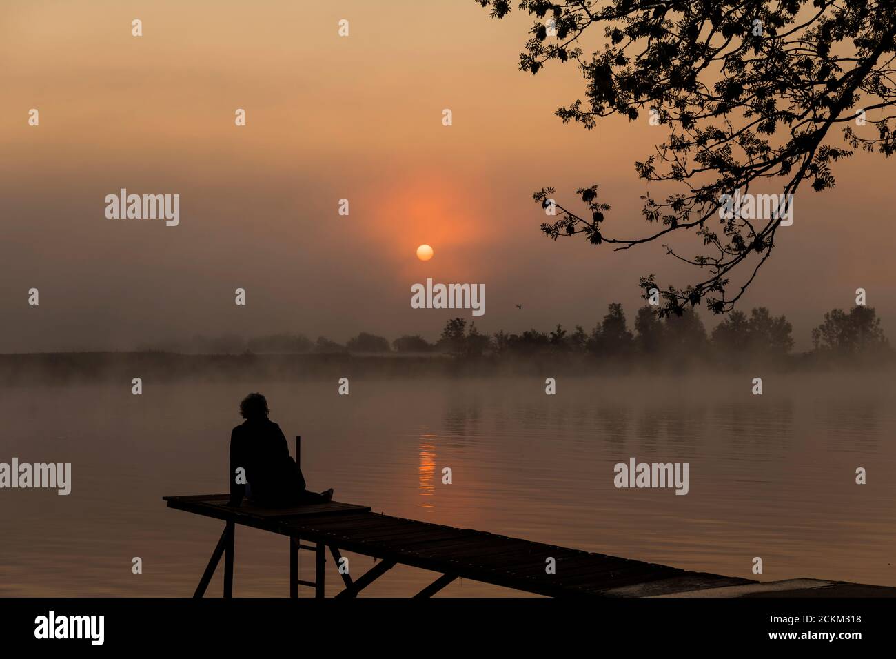 une femme s'assoit sur une jetée en bois au coucher du soleil tôt matin au-dessus de la rivière maas à limburg en hollande avec les arbres brumissent et brumeux brouillard Banque D'Images