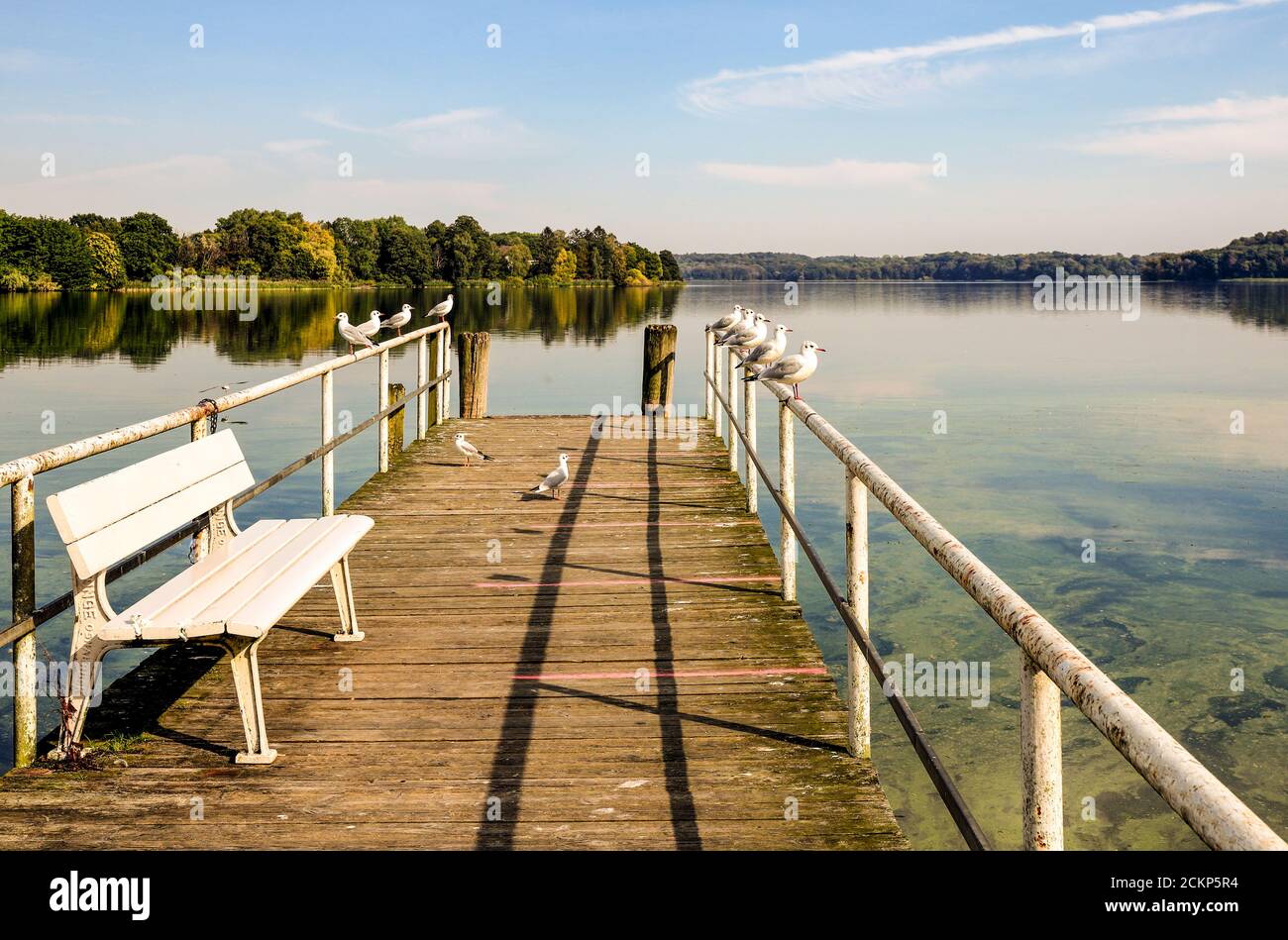 Une atmosphère merveilleuse au Kellersee, Malente en Allemagne. Banque D'Images