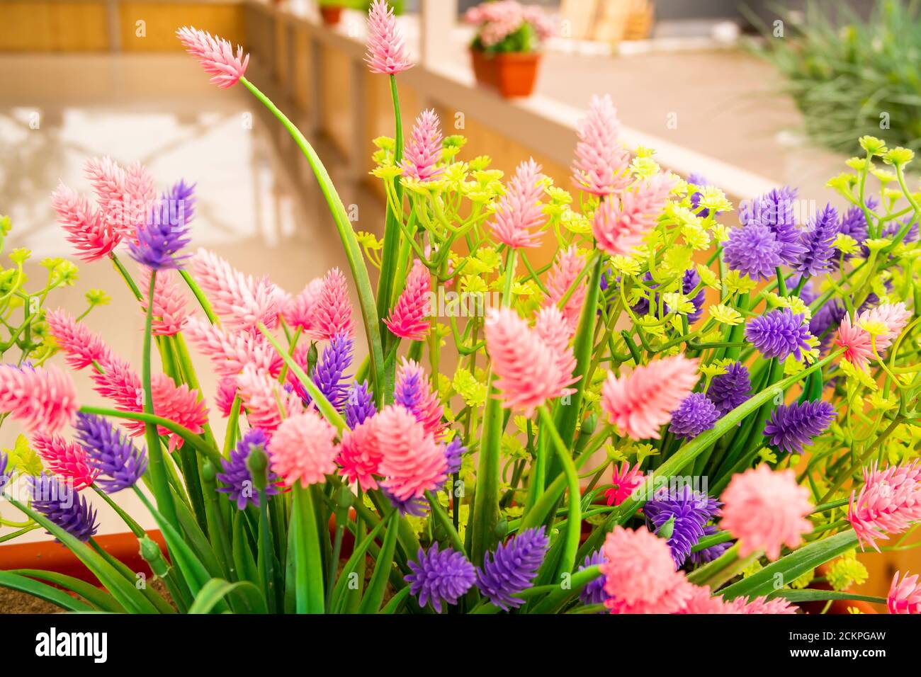 pour décorer l'intérieur d'un café d'été sont utilisés Belles fleurs Banque D'Images
