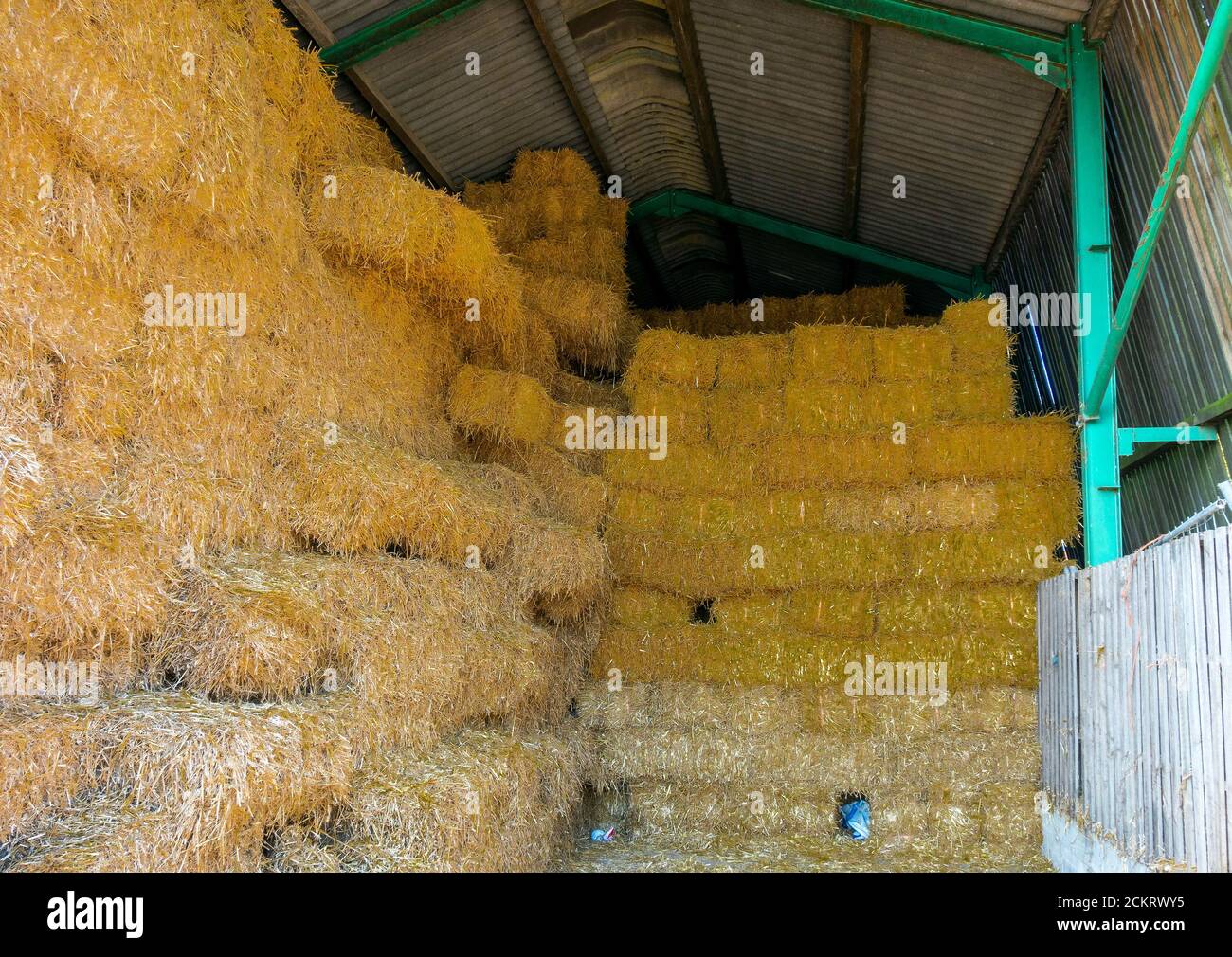 Balles de foin ou de paille angulaires pour l'alimentation des bovins d'hiver une ferme empilée dans une grange pour le stockage à sec Banque D'Images
